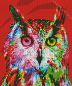 Colorful Abstract Owl Art Diamond Paintings