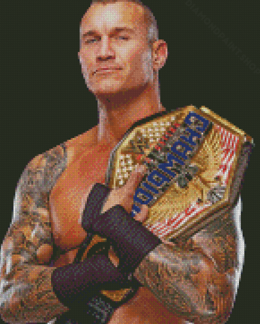 Handsome Randy Orton Diamond Paintings