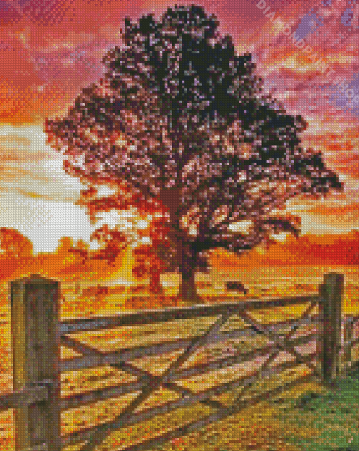 Country Side Sunset Diamond Paintings