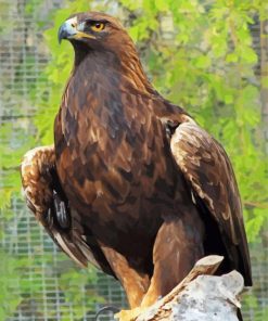 Golden Eagle Diamond Paintings