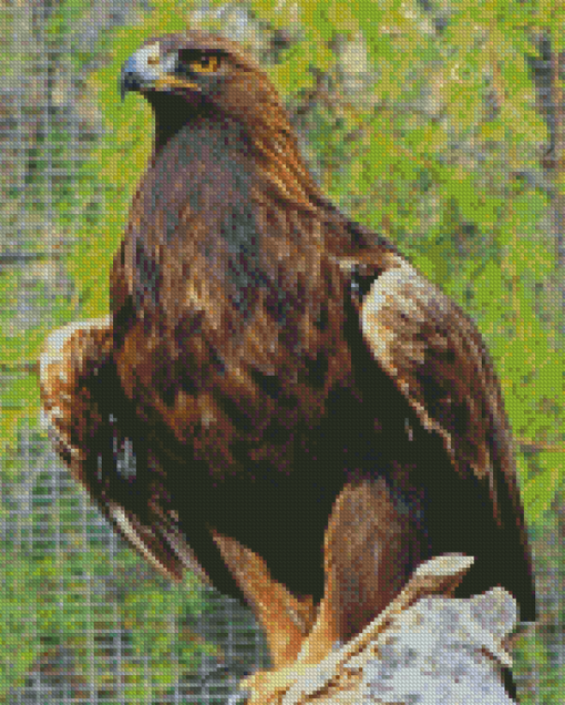 Golden Eagle Diamond Paintings