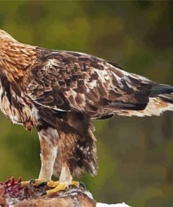 Adorable Golden Eagle Diamond Paintings