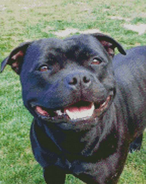 Happy Black Staffy Diamond Paintings