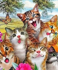 Happy Cat Selfie Diamond Paintings