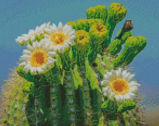 Saguaro Cactus Flower Diamond Paintings