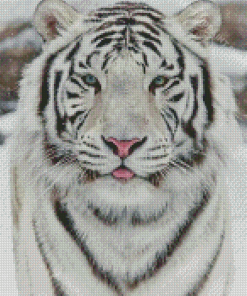 White Seberin Tiger Diamond Paintings