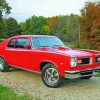 Aesthetic Red 1974 Gto Diamond Paintings