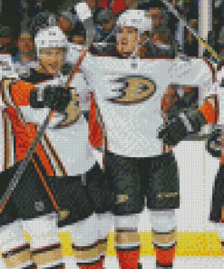 Anaheim Ducks Nhl Diamond Painting