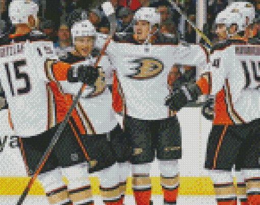 Anaheim Ducks Nhl Diamond Painting