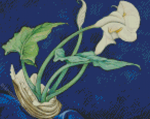 Calla Lilies Bert Savoy By Charles Diamond Paintings