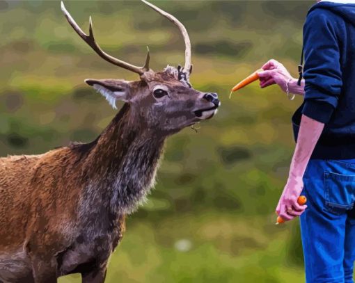 Deer Feeding Diamond Paintings