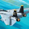 F 14 Tomcat Aircraft Diamond Paintings