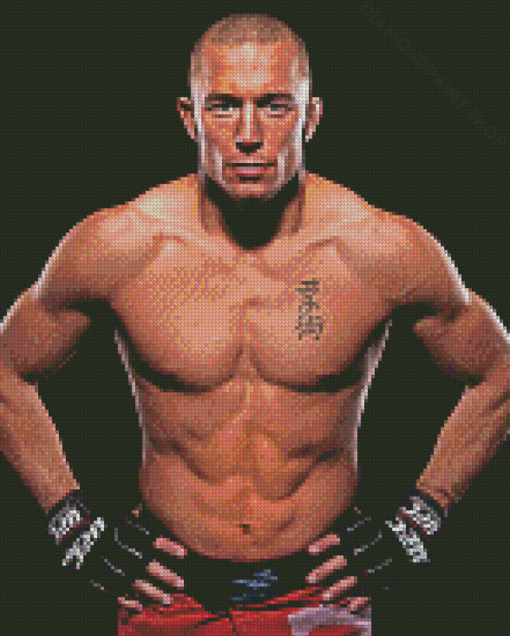 Georges St Pierre Diamond Paintings