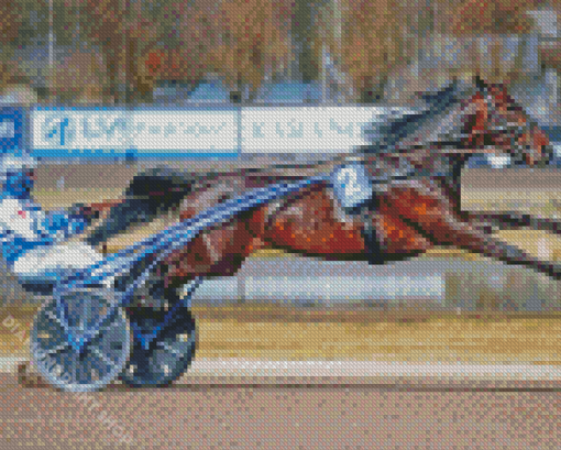 Harness Racing Diamond Paintings