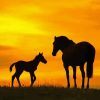 Horse And Foal Sunset Silhouette Diamond Paintings