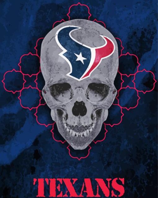 Houston Texans Skull Diamond Paintings