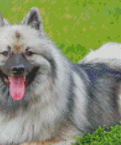 Keeshond Dog Diamond Paintings