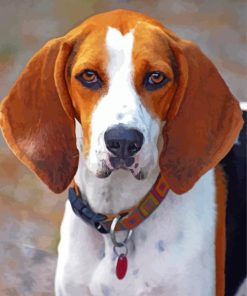 Treeing Walker Coonhound Diamond Paintings