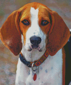 Treeing Walker Coonhound Diamond Paintings