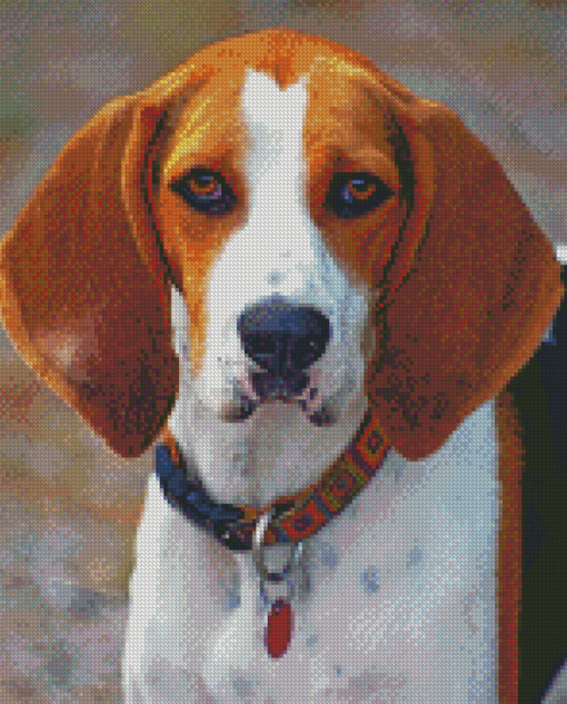 Treeing Walker Coonhound Diamond Paintings