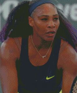 Venus Williams Diamond Paintings