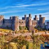 Welsh Castle Caernarfon Diamond Paintings