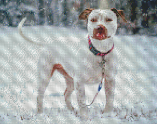 White Staffy Dog In Snow Diamond Paintings