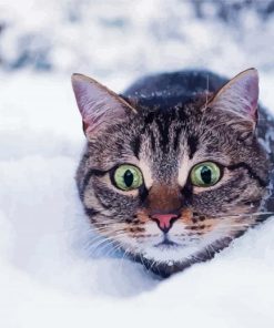 Winter Cat Diamond Paintings