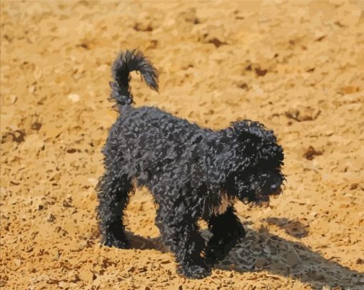 Aesthetic Black Poodle Puppy Diamond Paintings