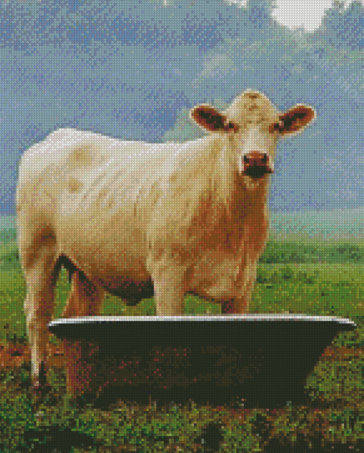 Aesthetic Cow In A Tub Diamond Paintings