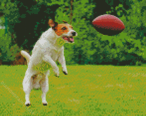 Aesthetic Dog Football Diamond Paintings