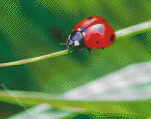 Aesthetic Ladybird Diamond Paintings