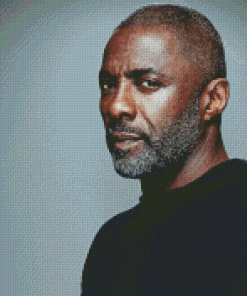 Aesthetic Idris Elba Actor Diamond Paintings