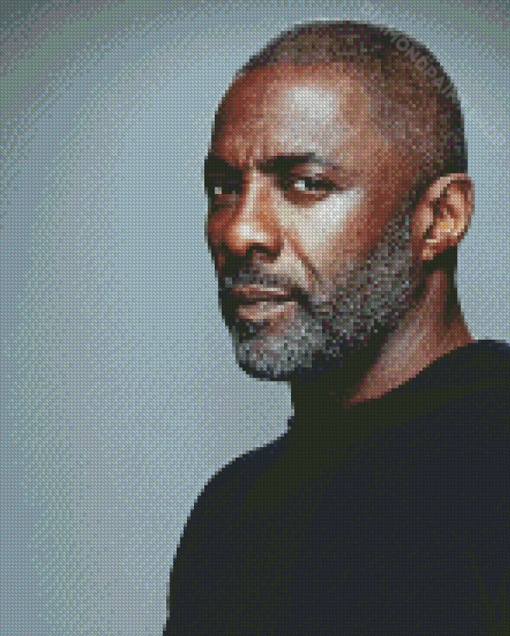 Aesthetic Idris Elba Actor Diamond Paintings