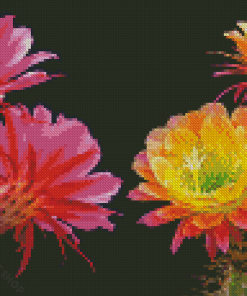 Aesthetic Pink And Yellow Flowers On Cactuses Diamond Paintings