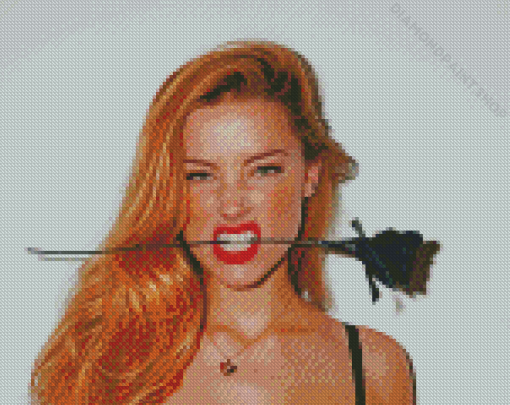 Beautiful Amber Heard Diamond Paintings