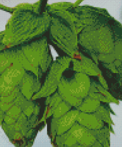 Beautiful Hop Plant Diamond Paintings