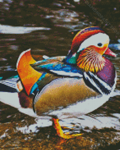 Beautiful Mandarin Duck Diamond Paintings