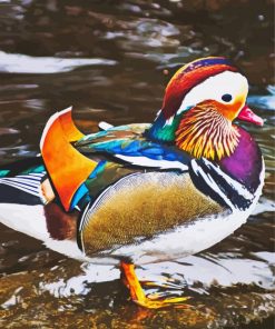 Beautiful Mandarin Duck Diamond Paintings