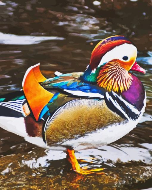 Beautiful Mandarin Duck Diamond Paintings