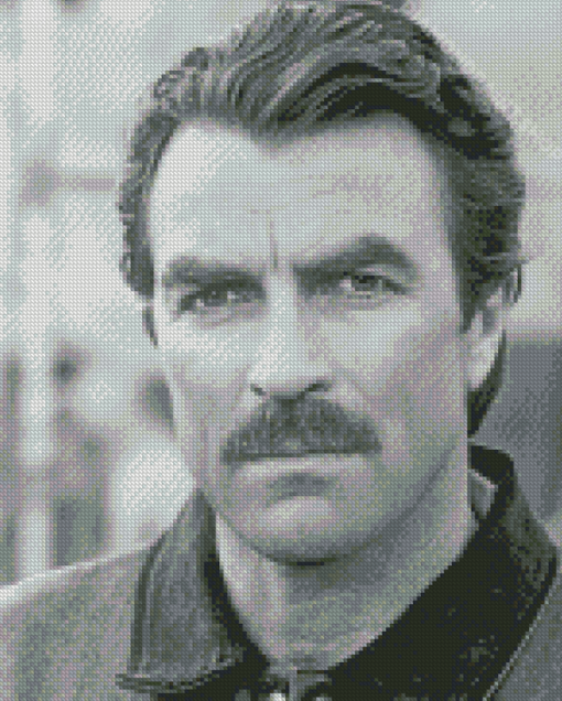 Black And White Tom Selleck Diamond Paintings