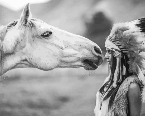 Black And White Native Horse Diamond Paintings