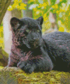 Black Jaguar Cub Diamond Paintings