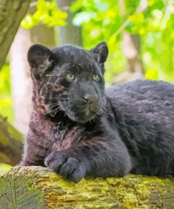 Black Jaguar Cub Diamond Paintings