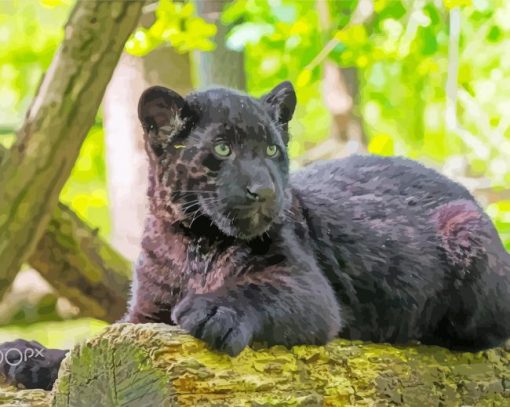 Black Jaguar Cub Diamond Paintings