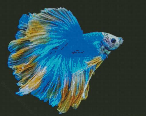 Blue Siamese Fighting Fish Diamond Paintings