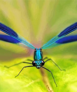 Blue Damsel Fly Diamond Paintings