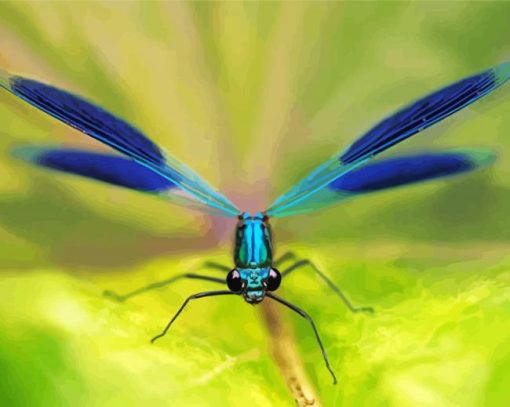 Blue Damsel Fly Diamond Paintings