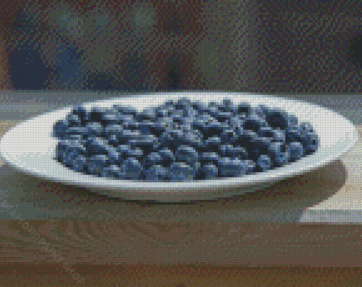 Blueberry Plate On Patio Diamond Paintings