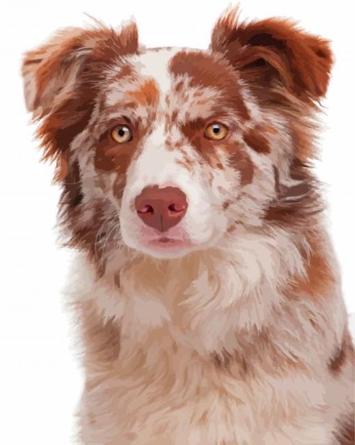 Brown Border Collie Dog Diamond Paintings